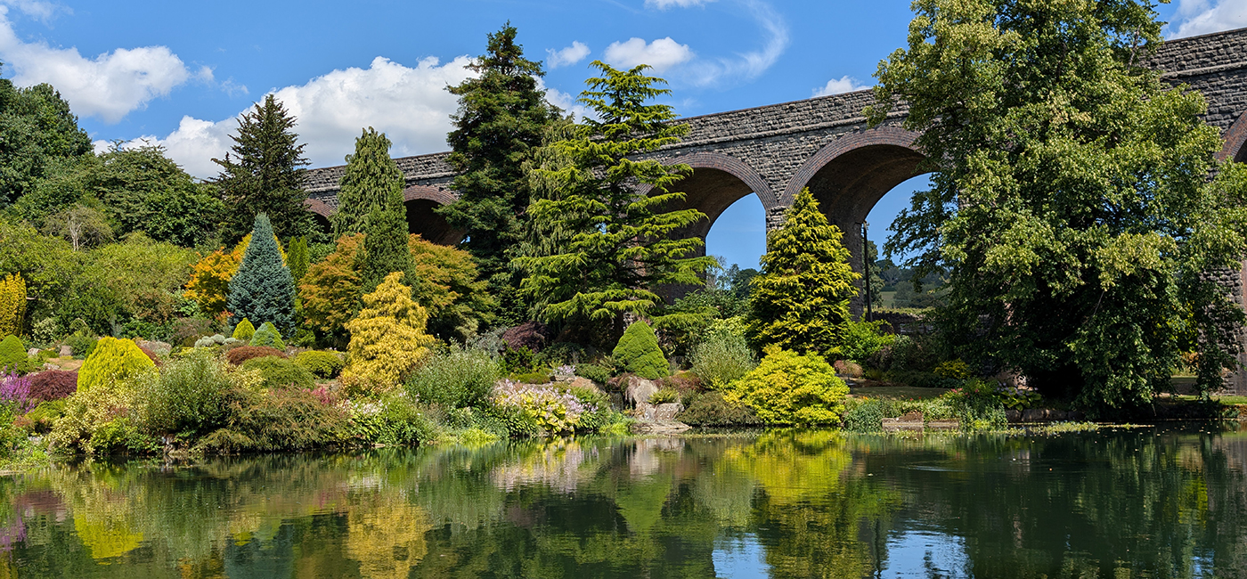 Website Design Shepton Mallet